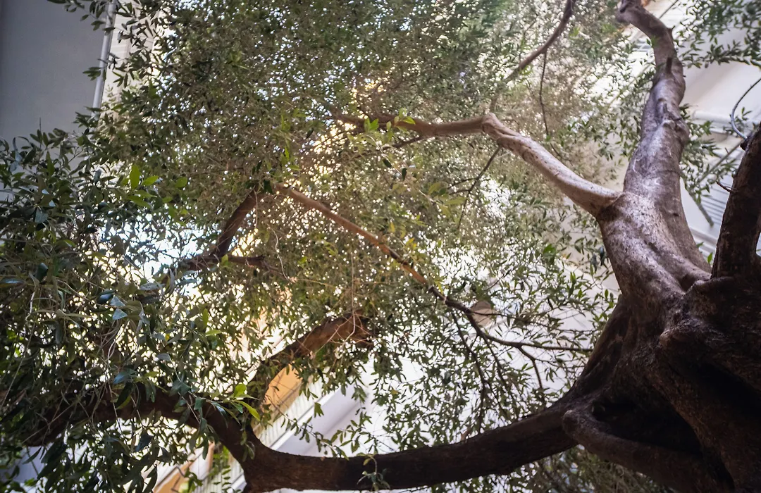 The H Experience Boutique Apartments Athens - Fast Internet & Secure Parking Available-1